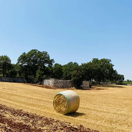 Trulli Della Masseria Staffone * Альберобелло
